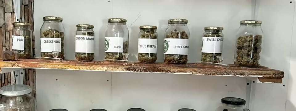 Labelled jars of dried herb lined up on the shop shelf